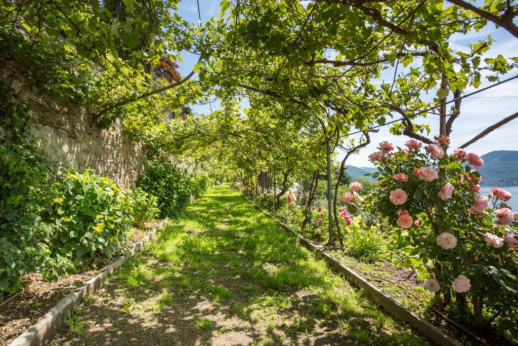 Villa Paradiso Cannero Riviera Buitenkant foto